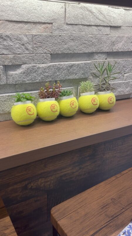 テニスボール植木鉢