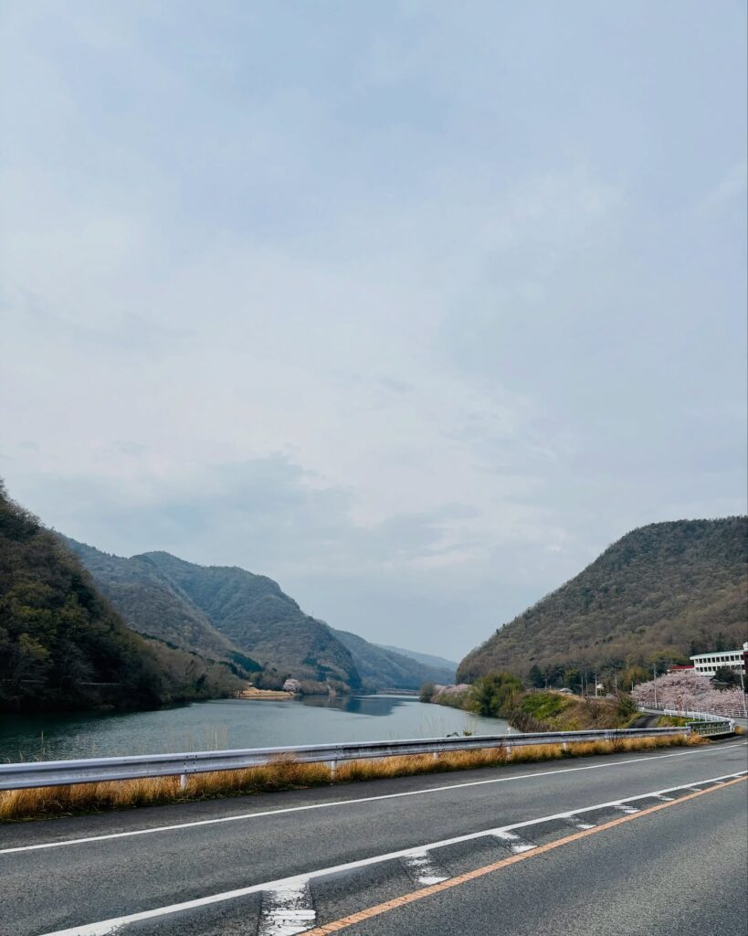 img-8
