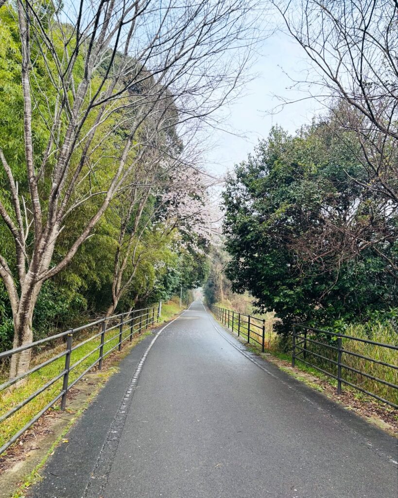 img-3